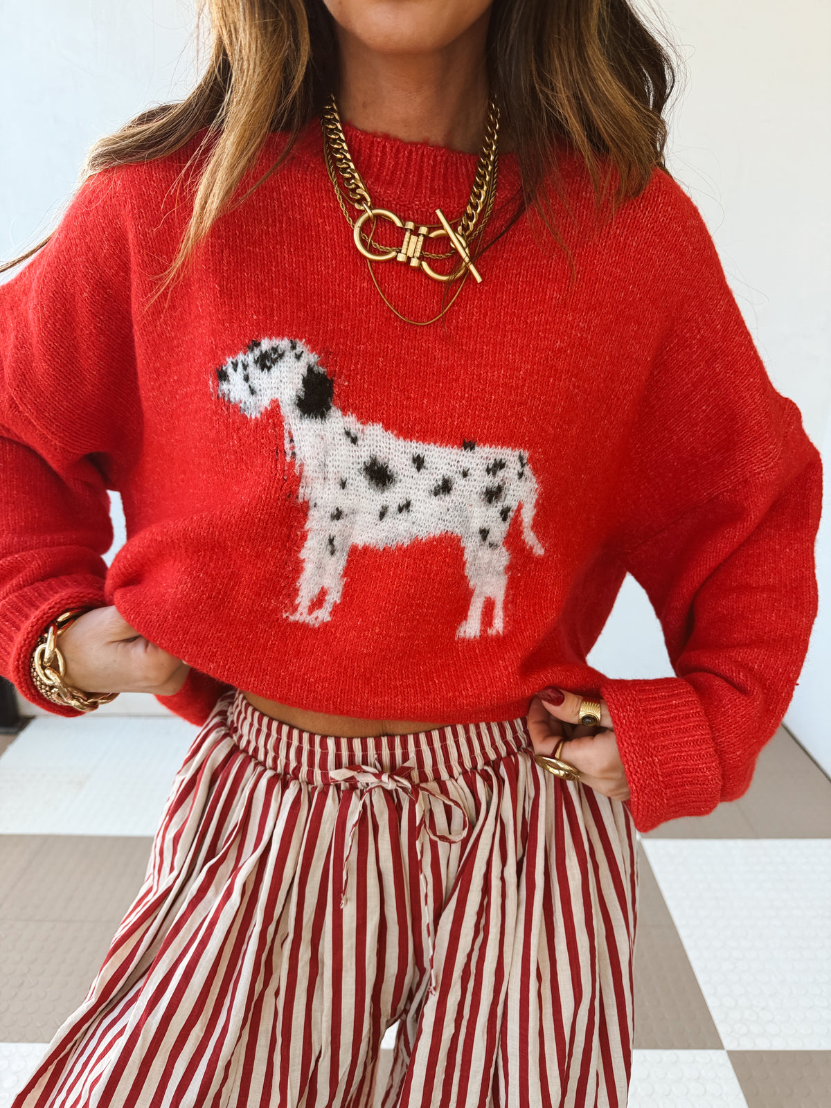 Dalmatian Sweater