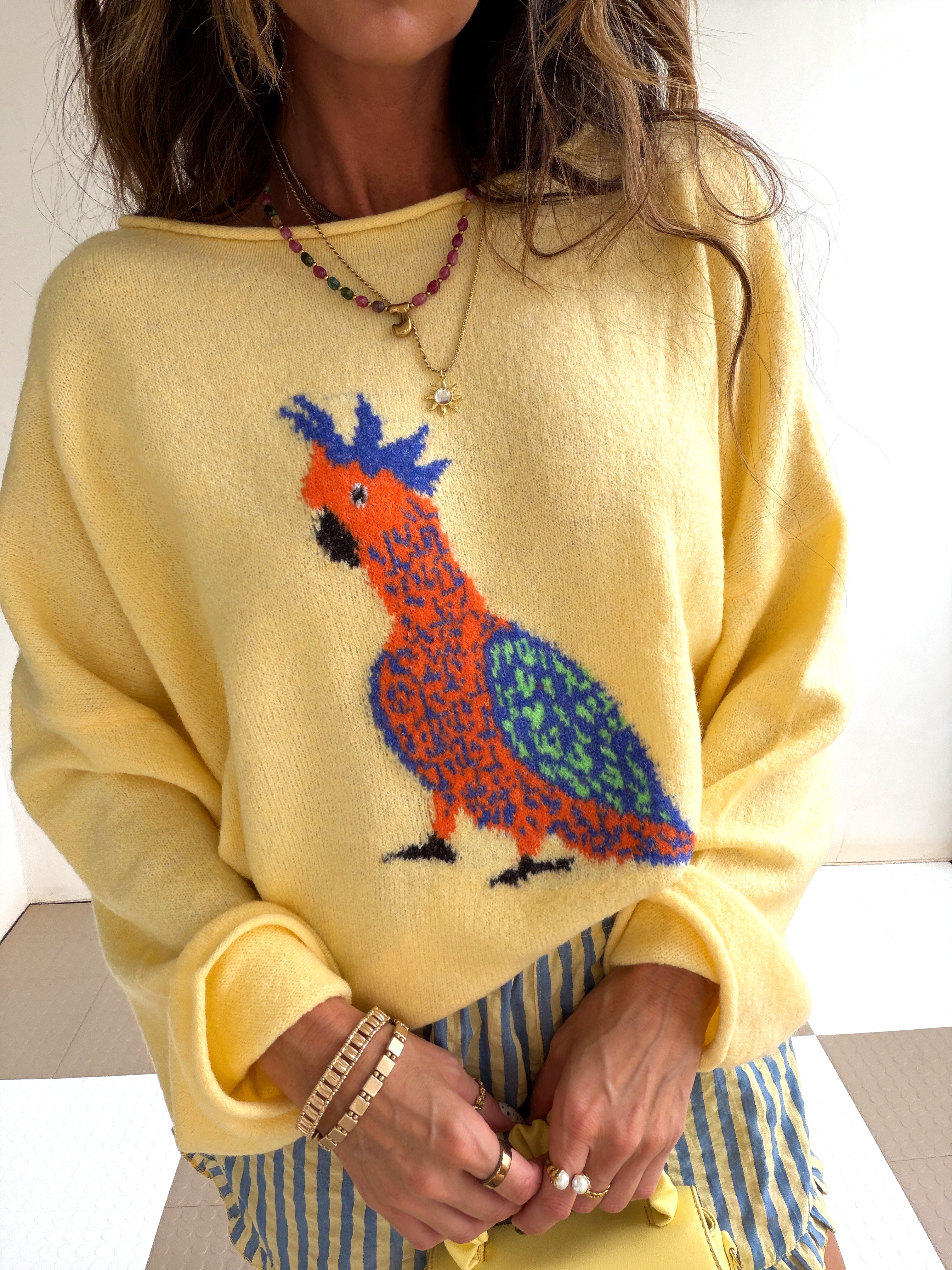 Parrot Sweater