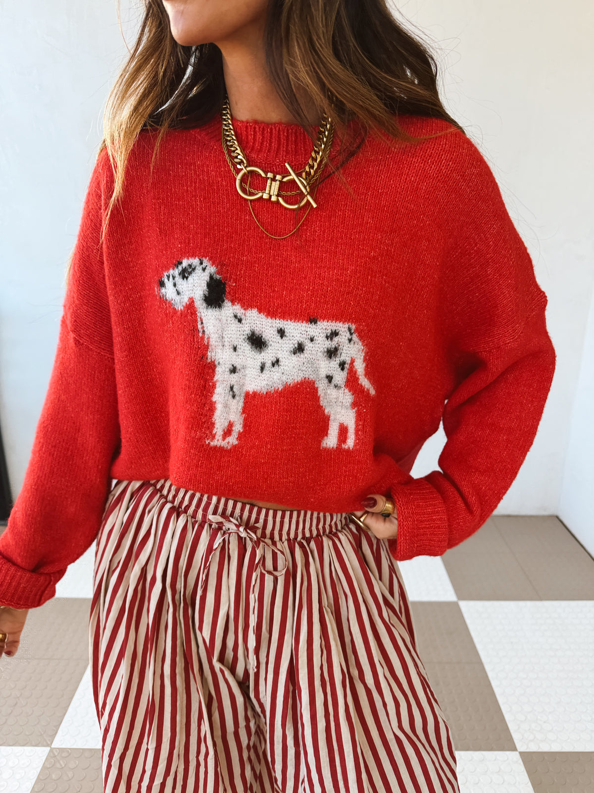 Dalmatian Sweater