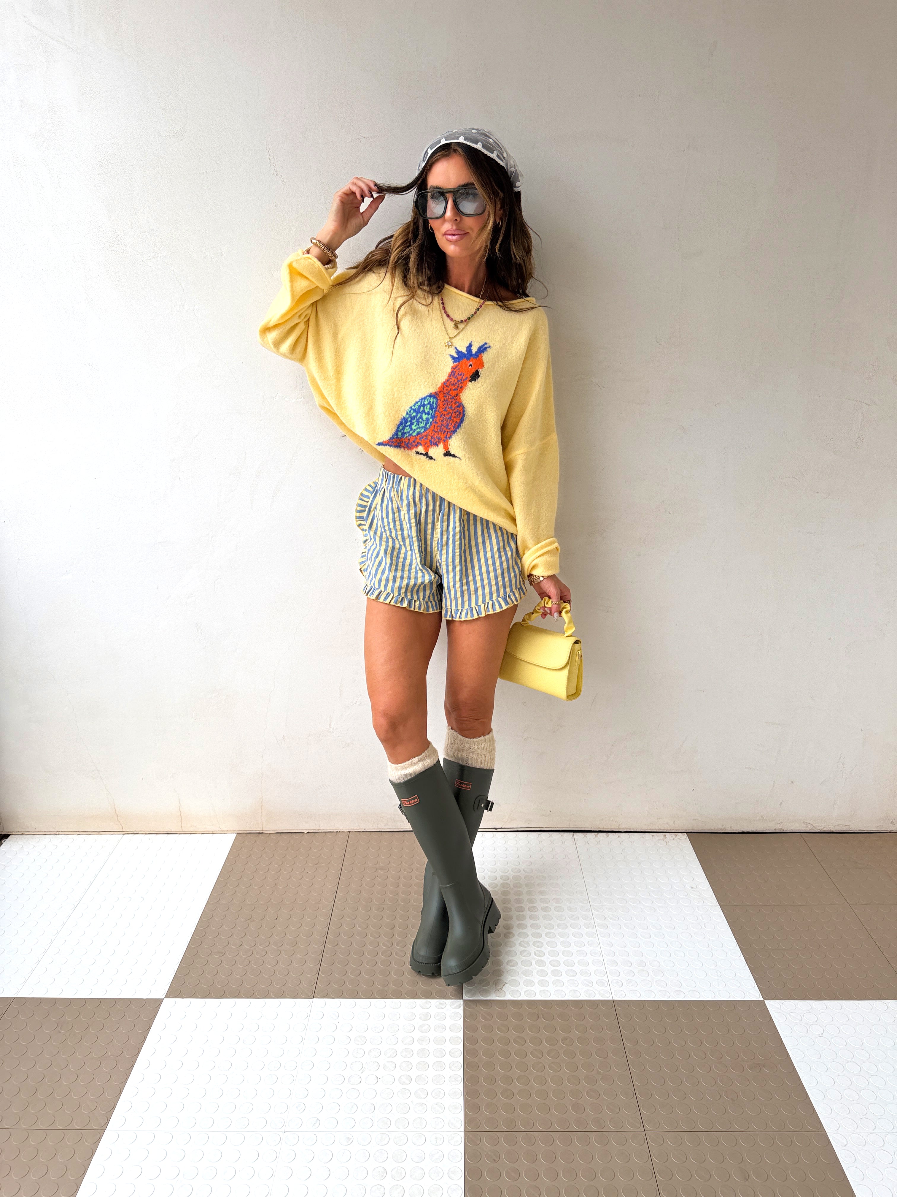 Parrot Sweater
