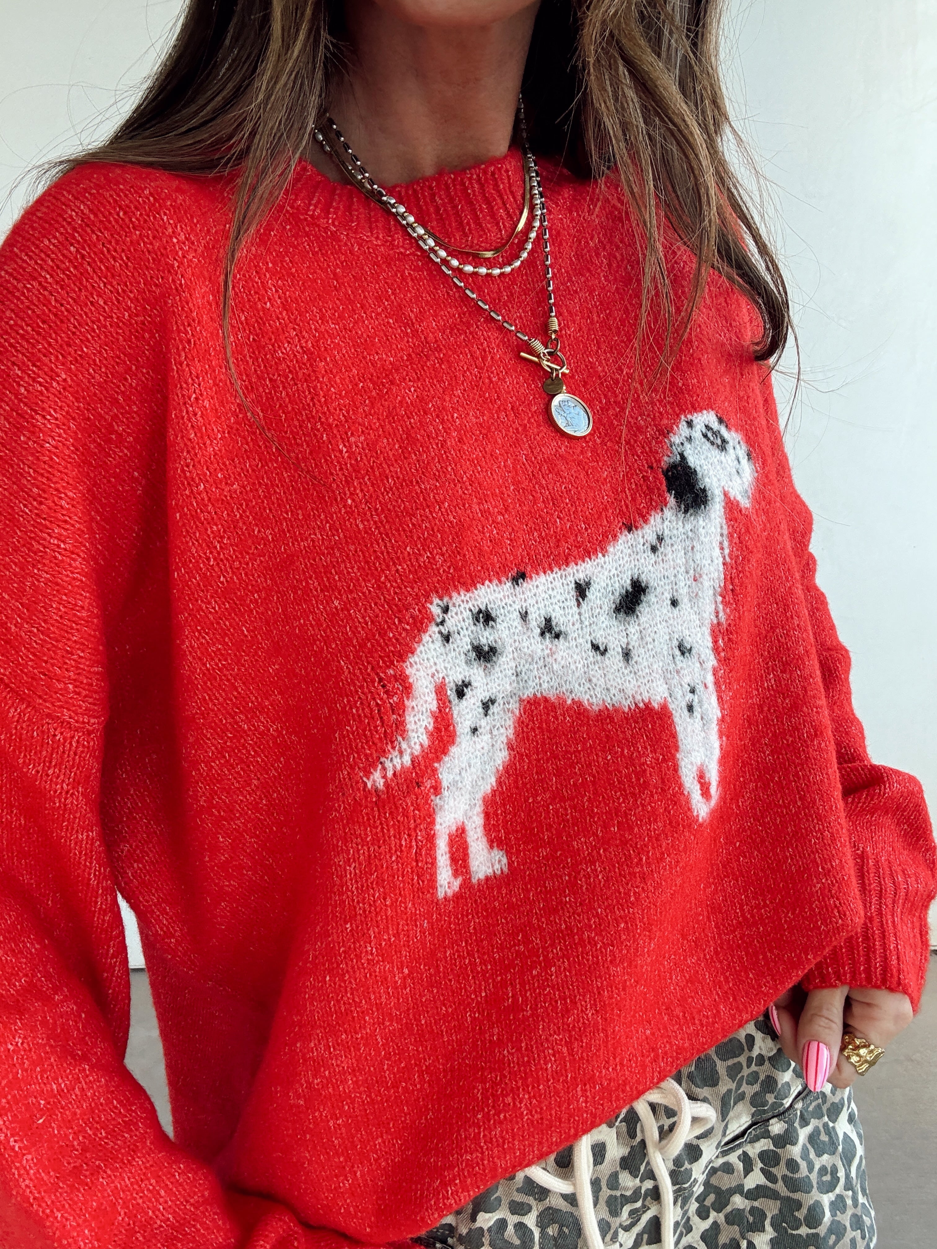 Dalmation Dog Sweater