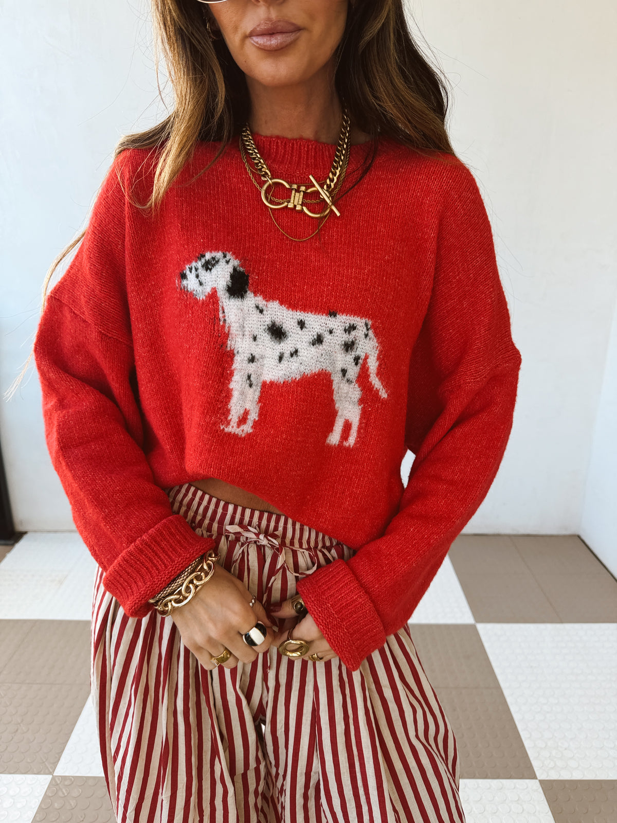 Dalmatian Sweater