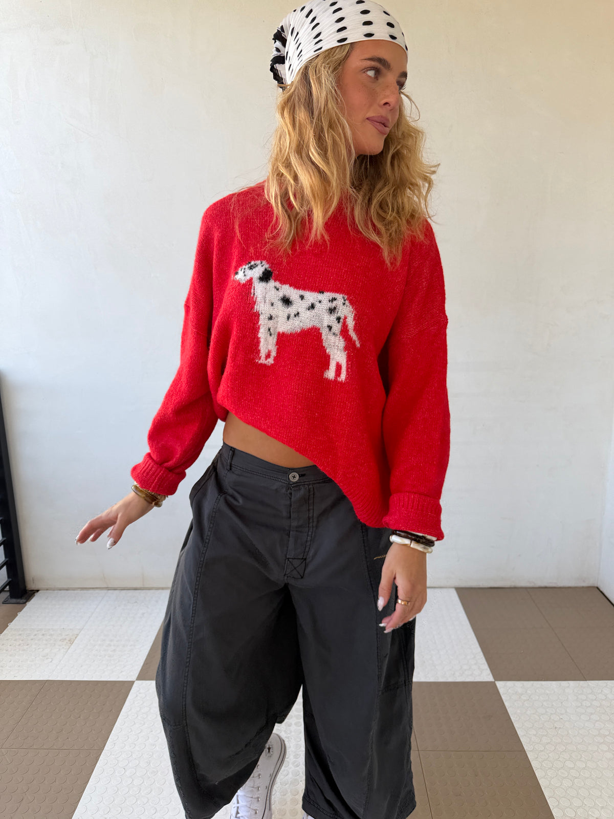 Dalmatian Sweater