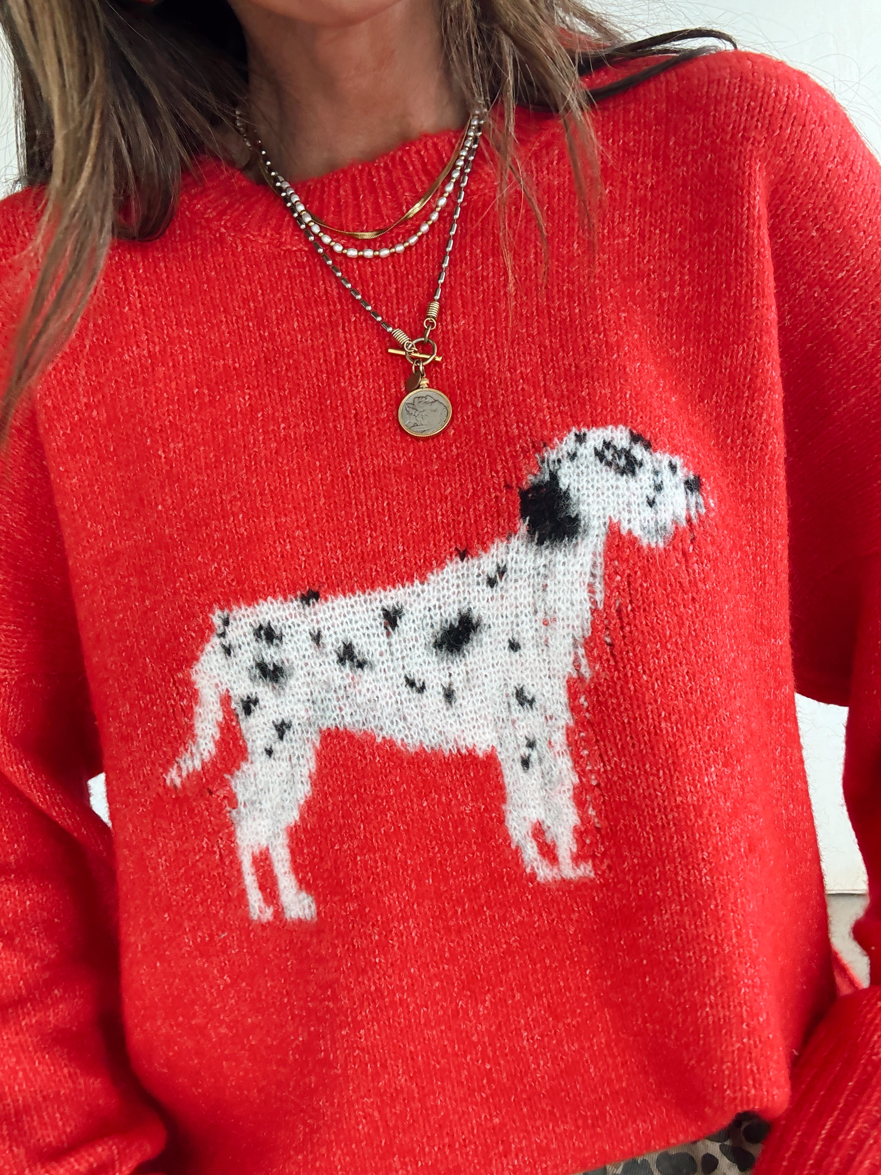Dalmation Dog Sweater