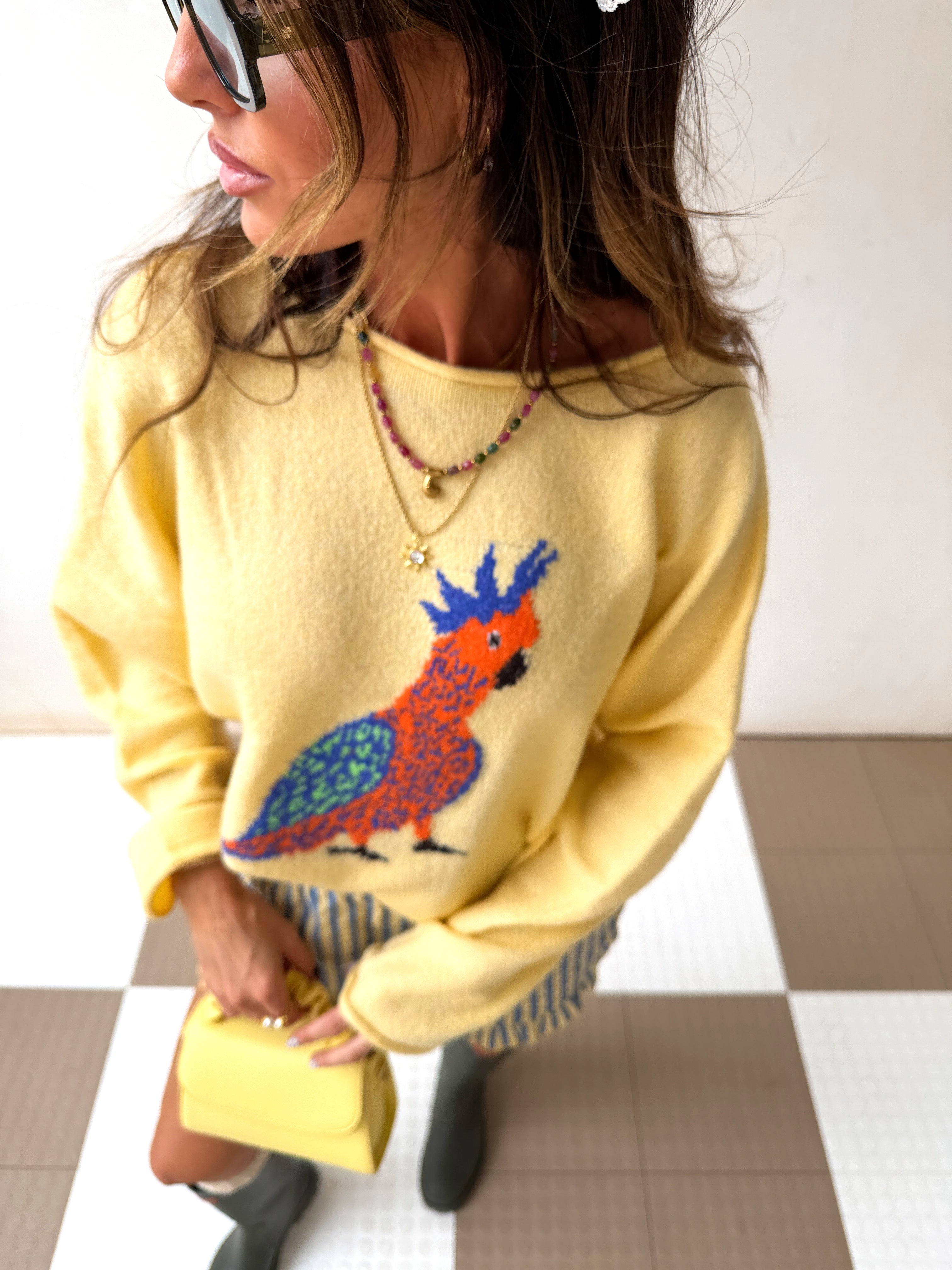Parrot Sweater