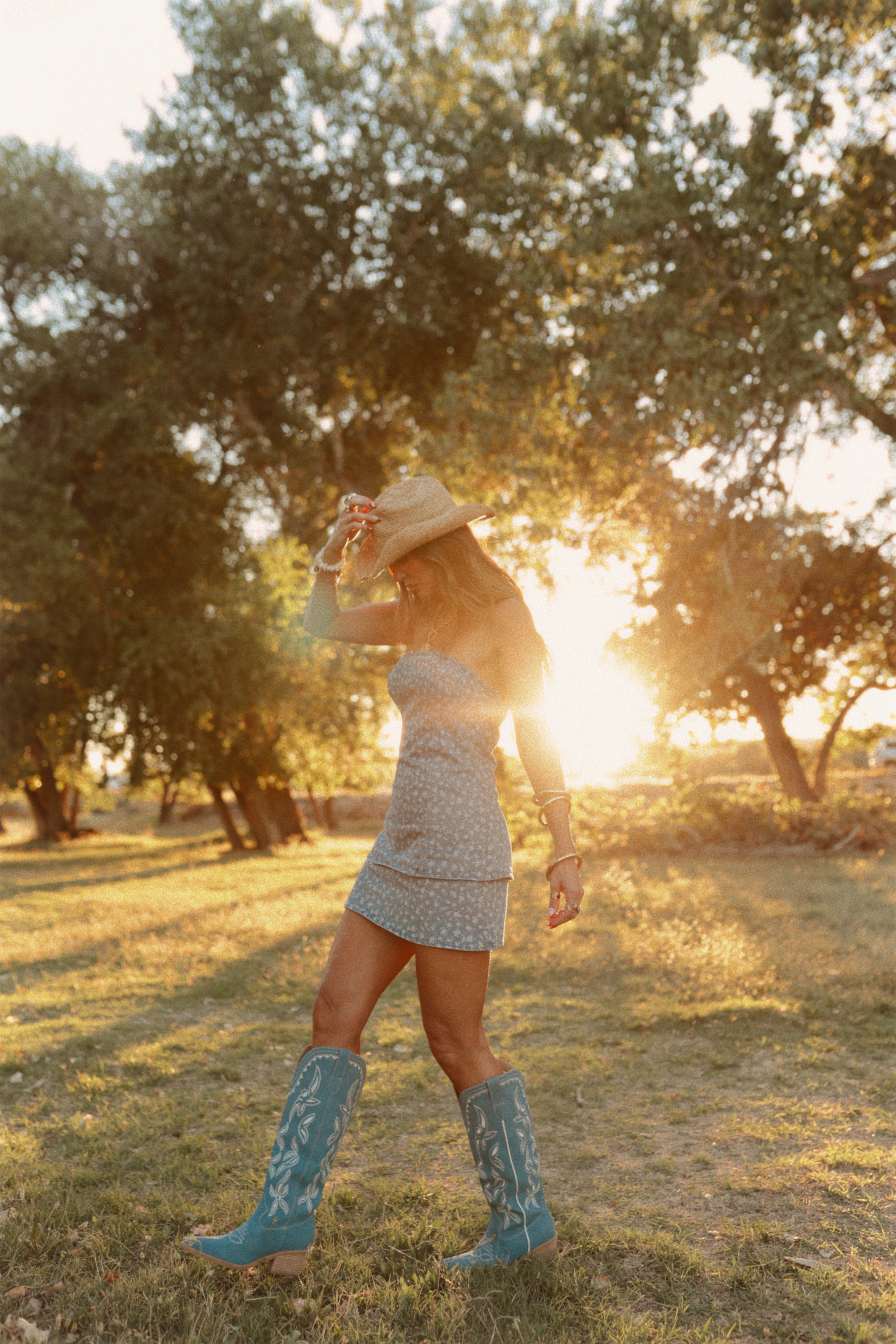 Stole Your Cowboy Dress