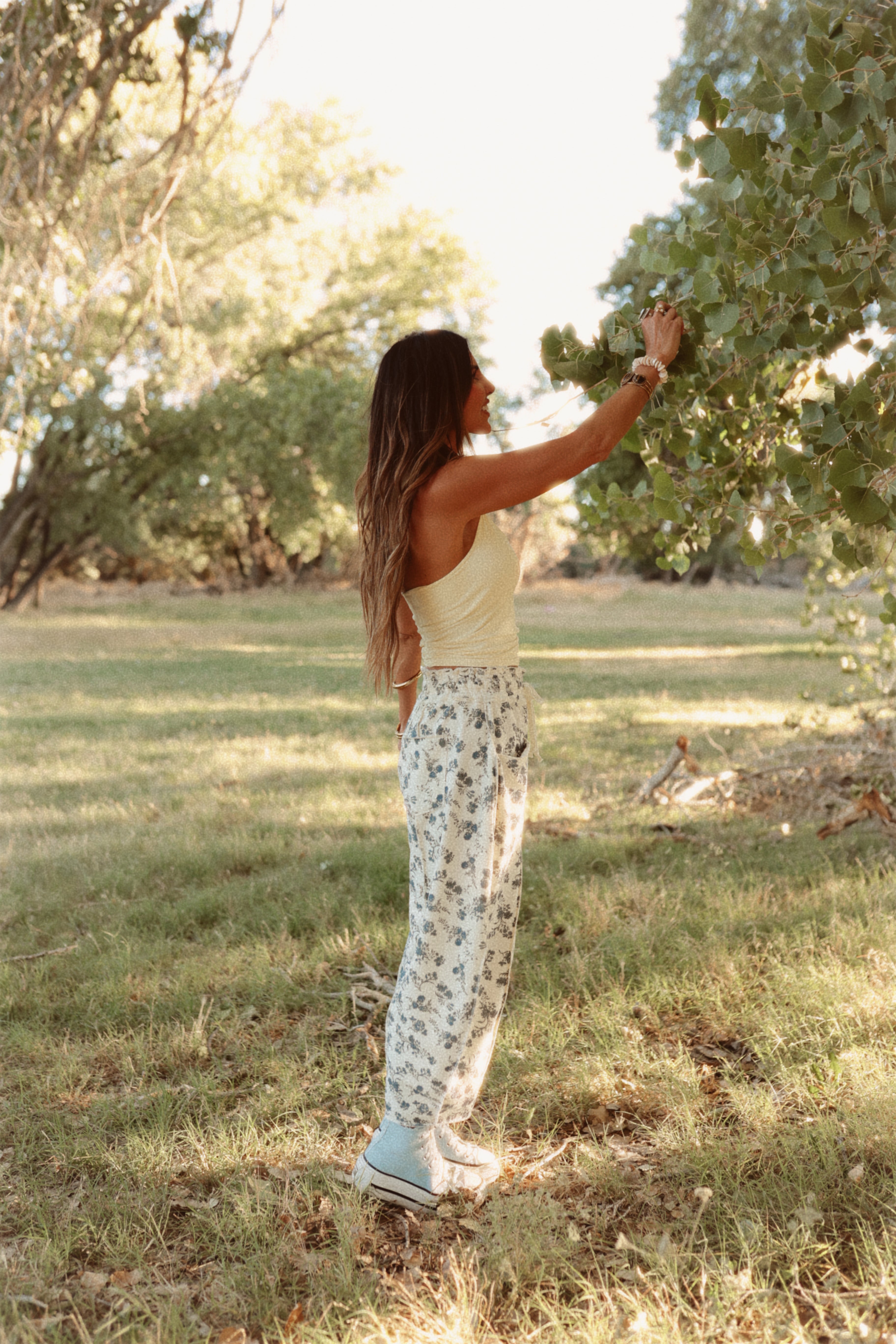 Blue Willow Pants