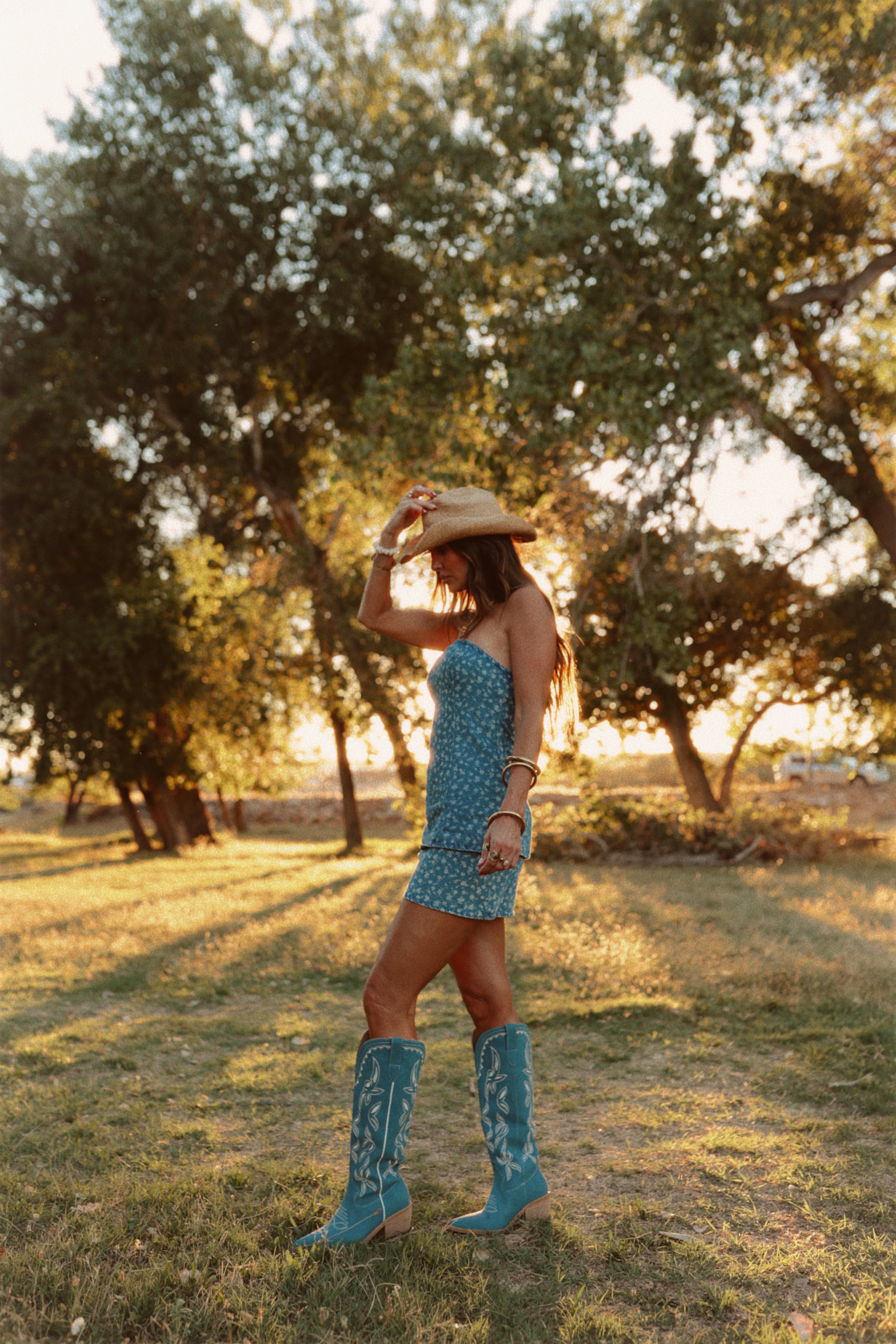 Stole Your Cowboy Dress