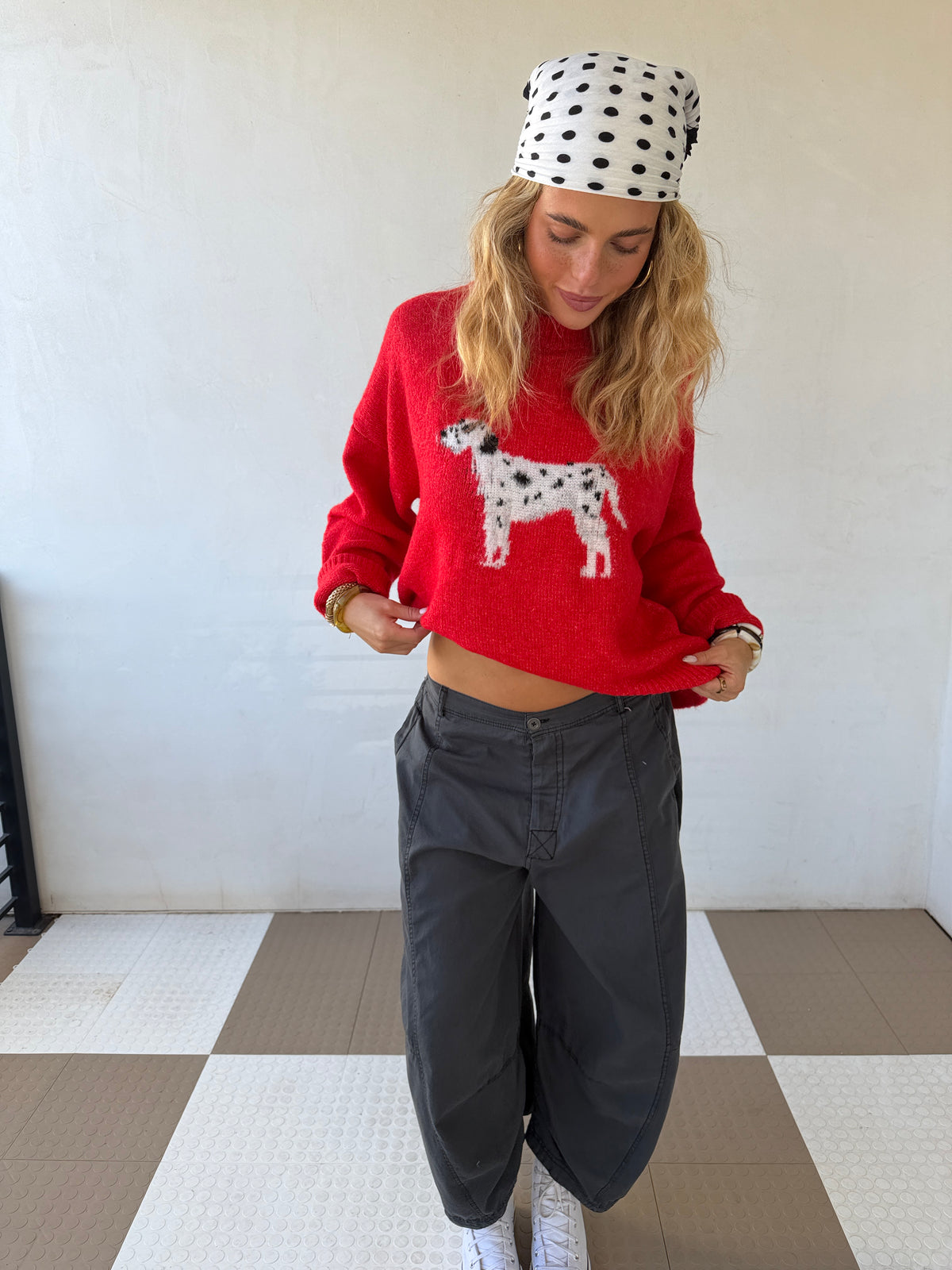 Dalmatian Sweater