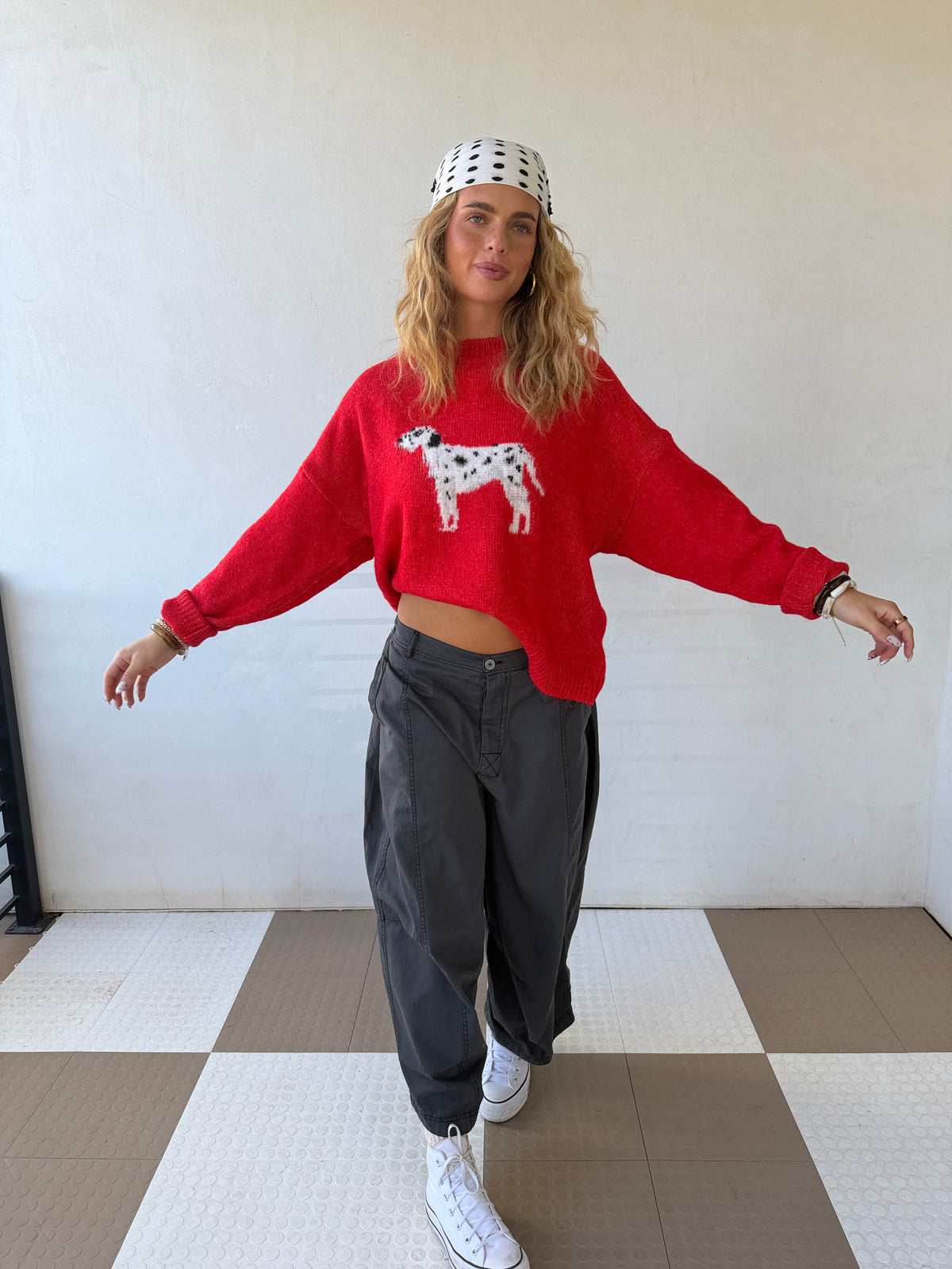 Dalmatian Sweater
