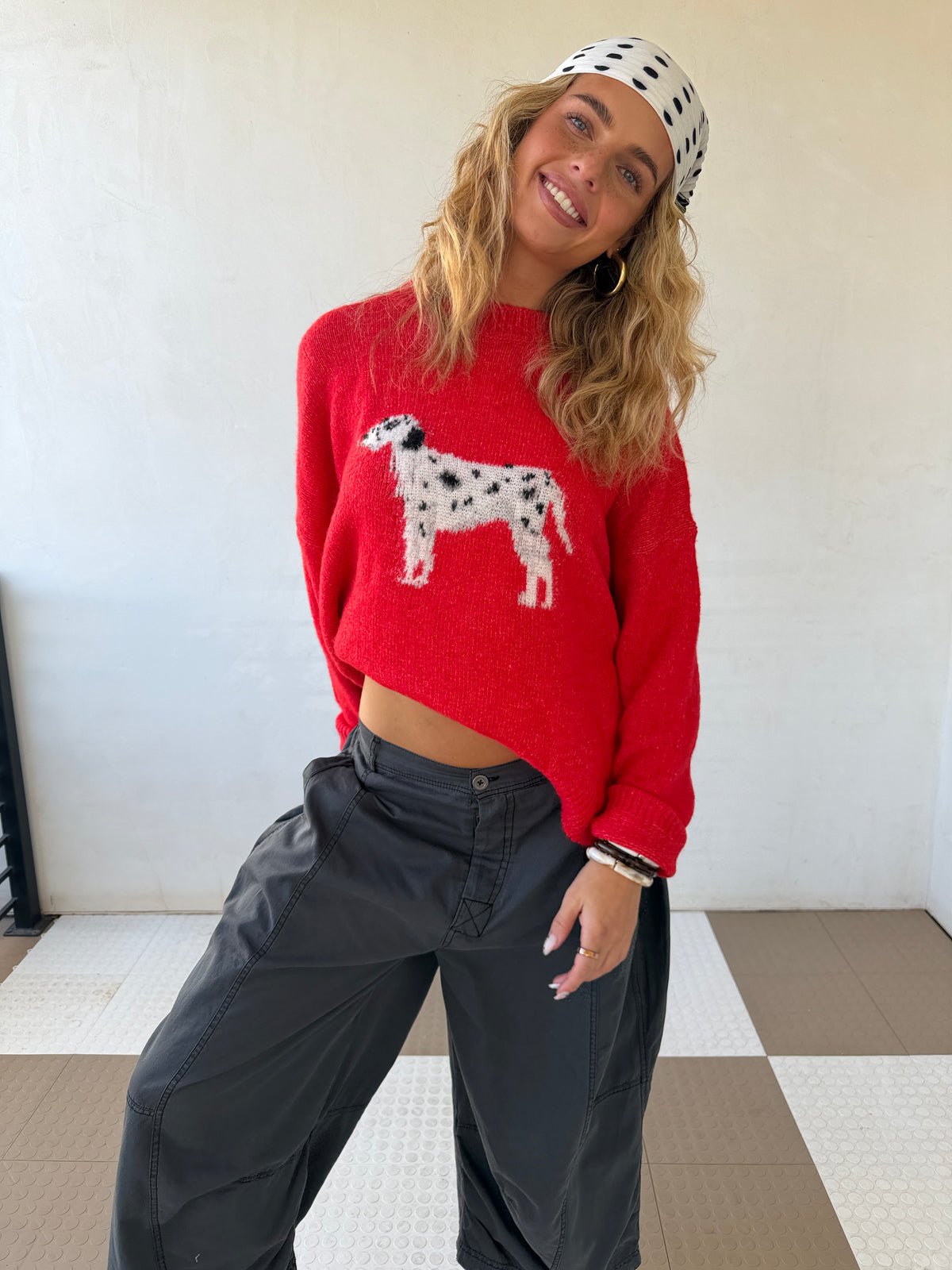 Dalmatian Sweater