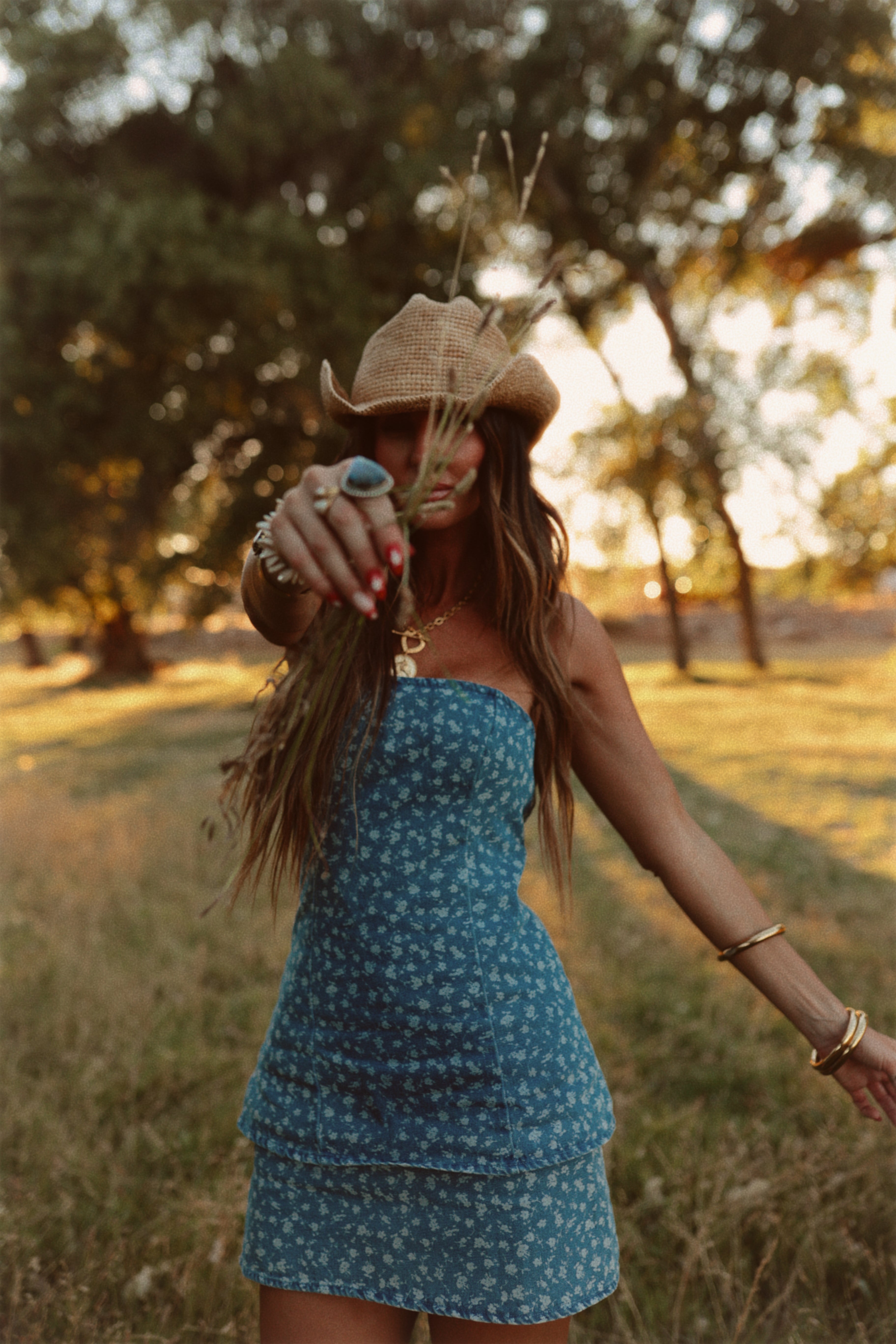Stole Your Cowboy Dress