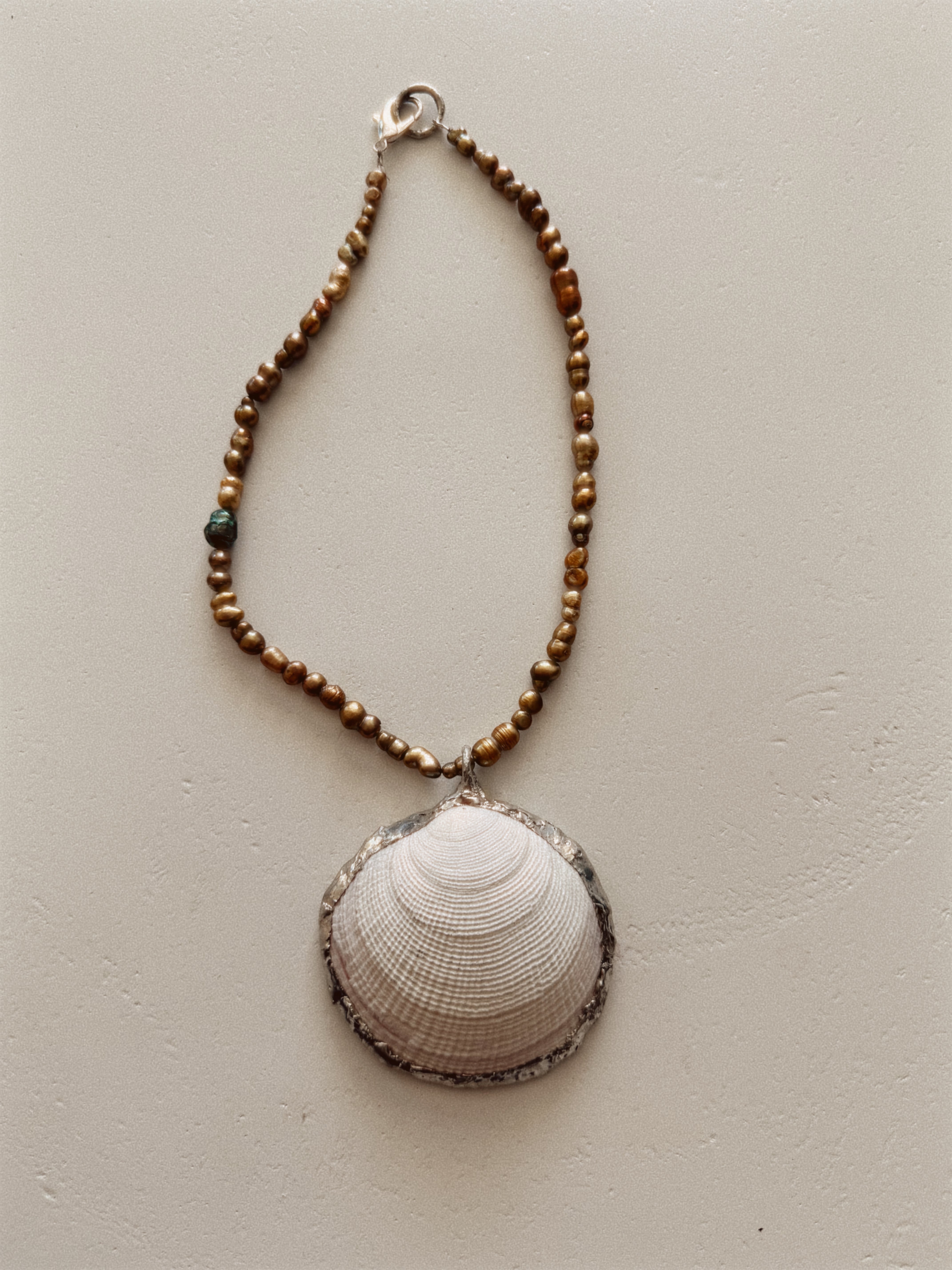 Siren’s Shell