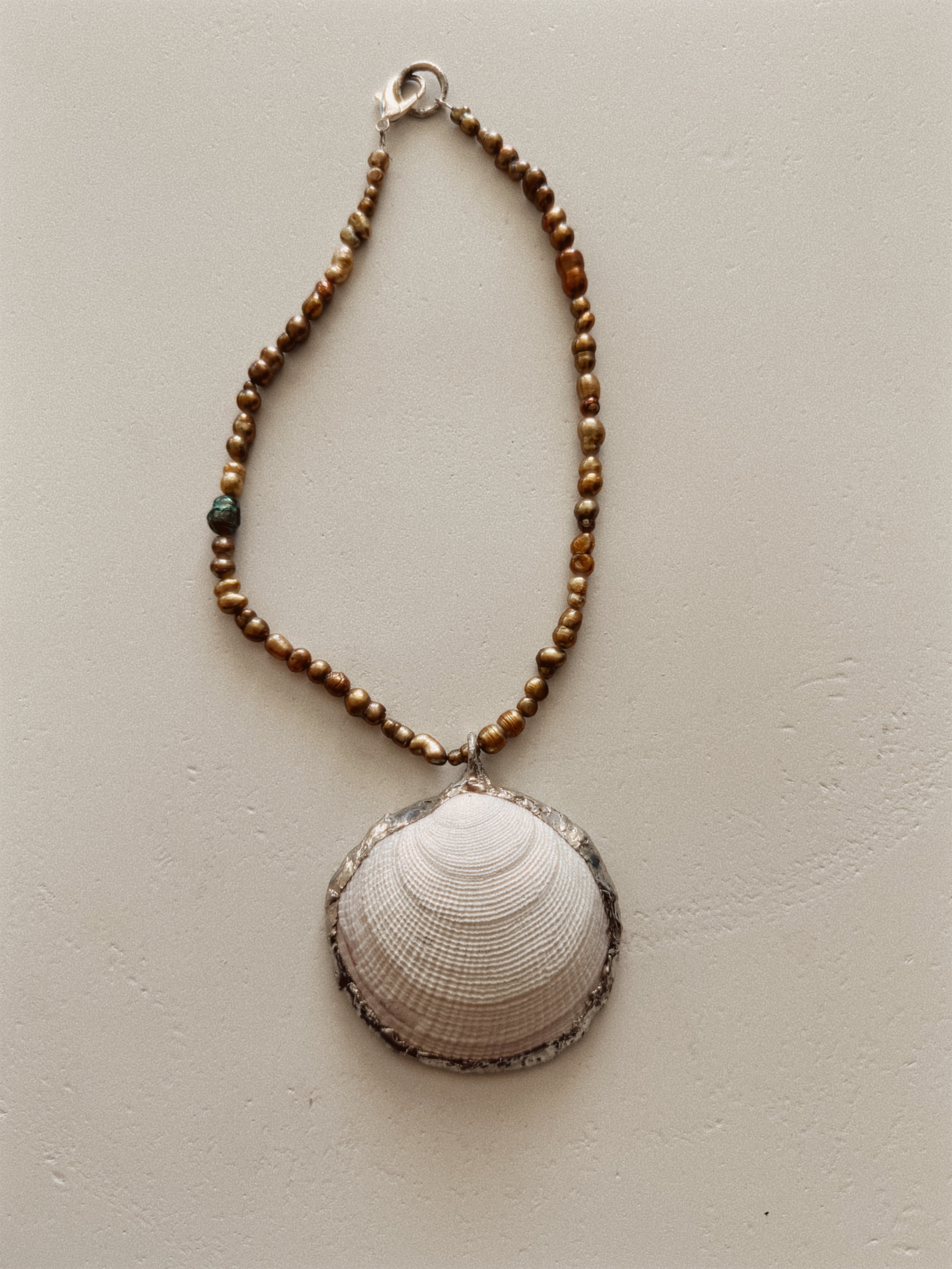 Siren’s Shell