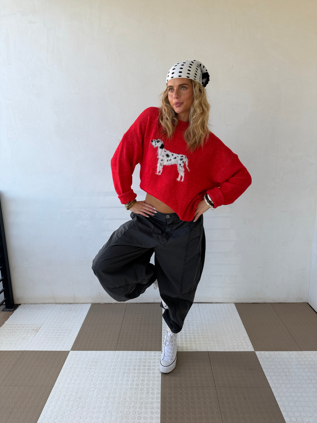 Dalmatian Sweater