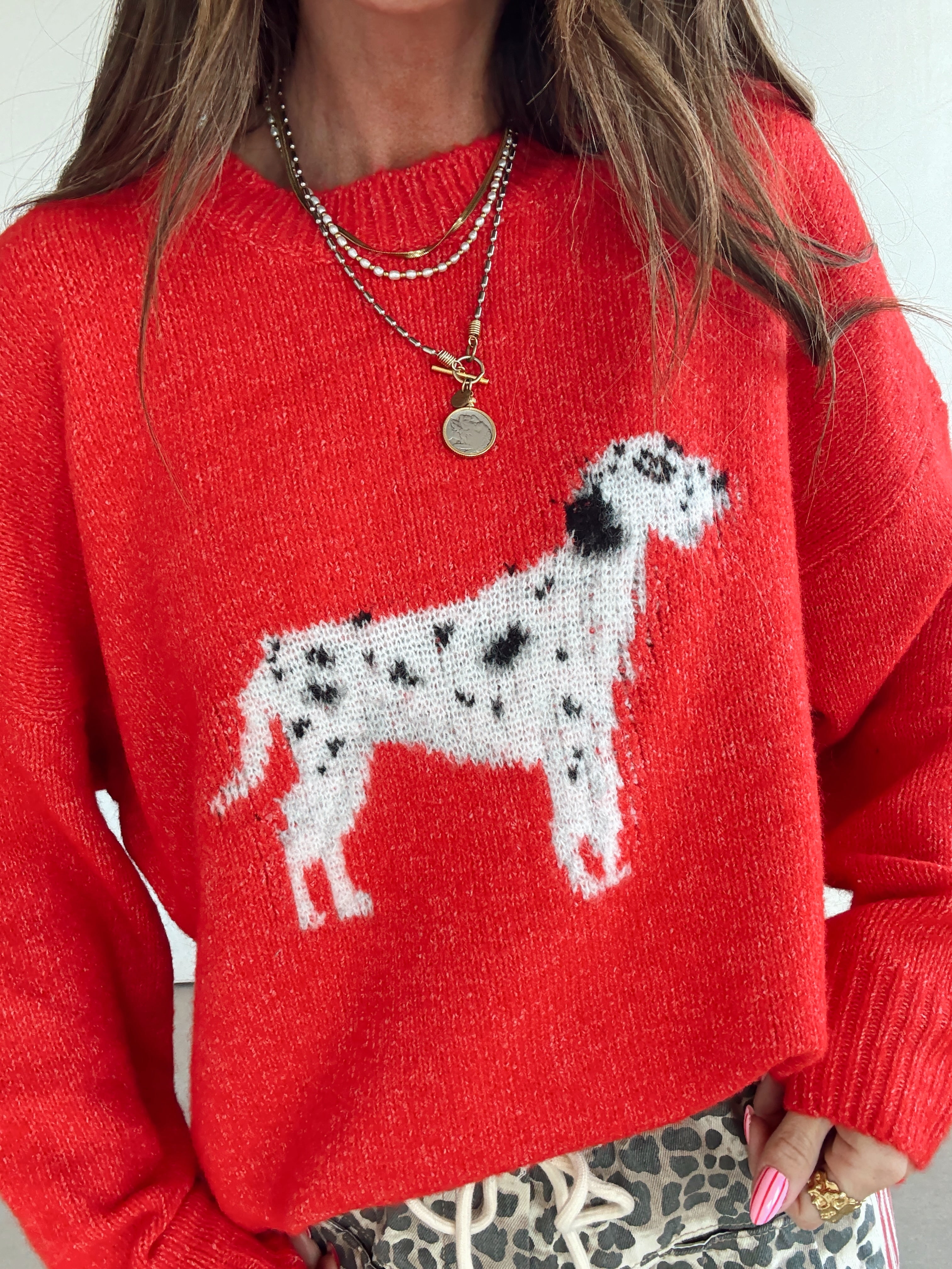 Dalmation Dog Sweater