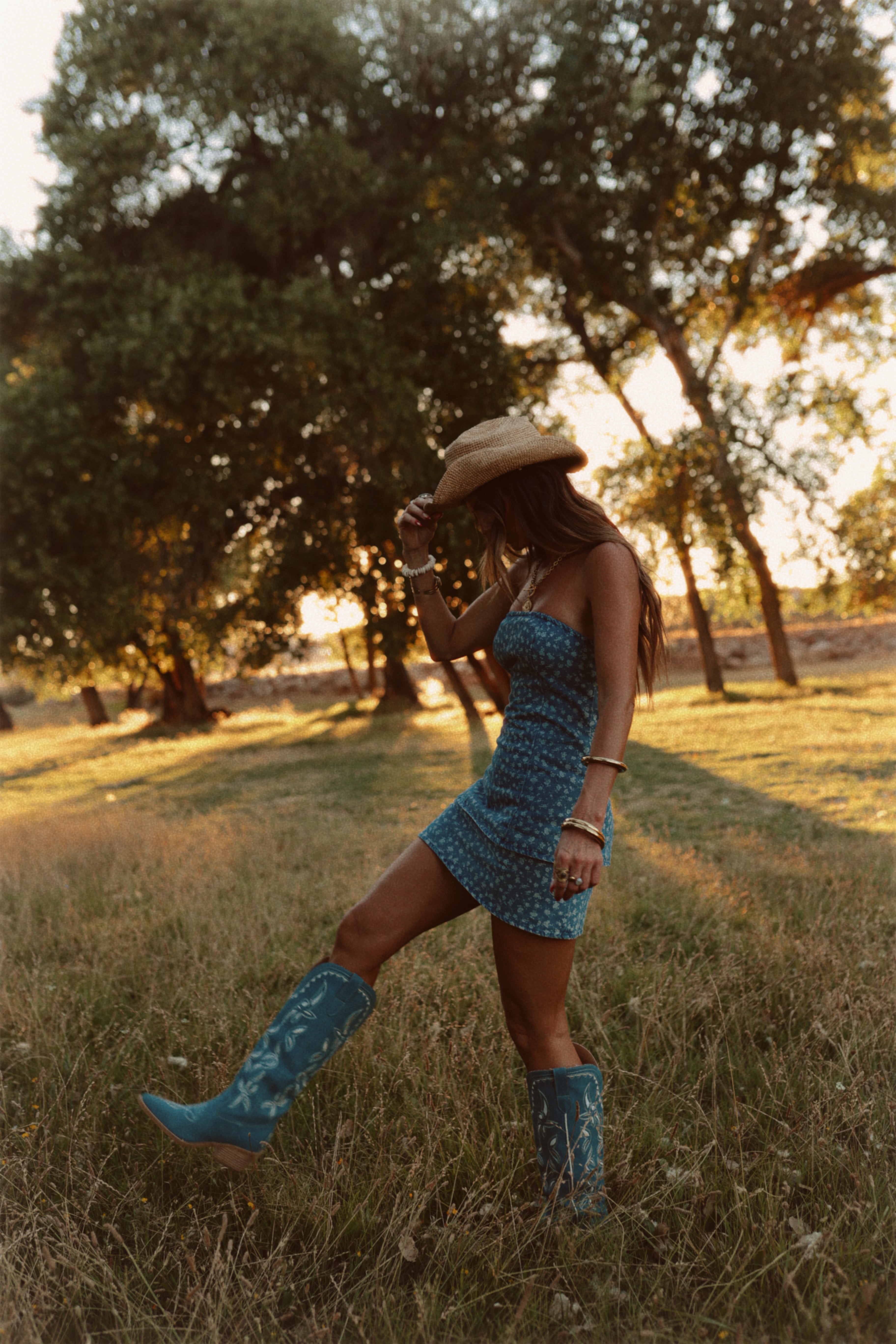 Stole Your Cowboy Dress